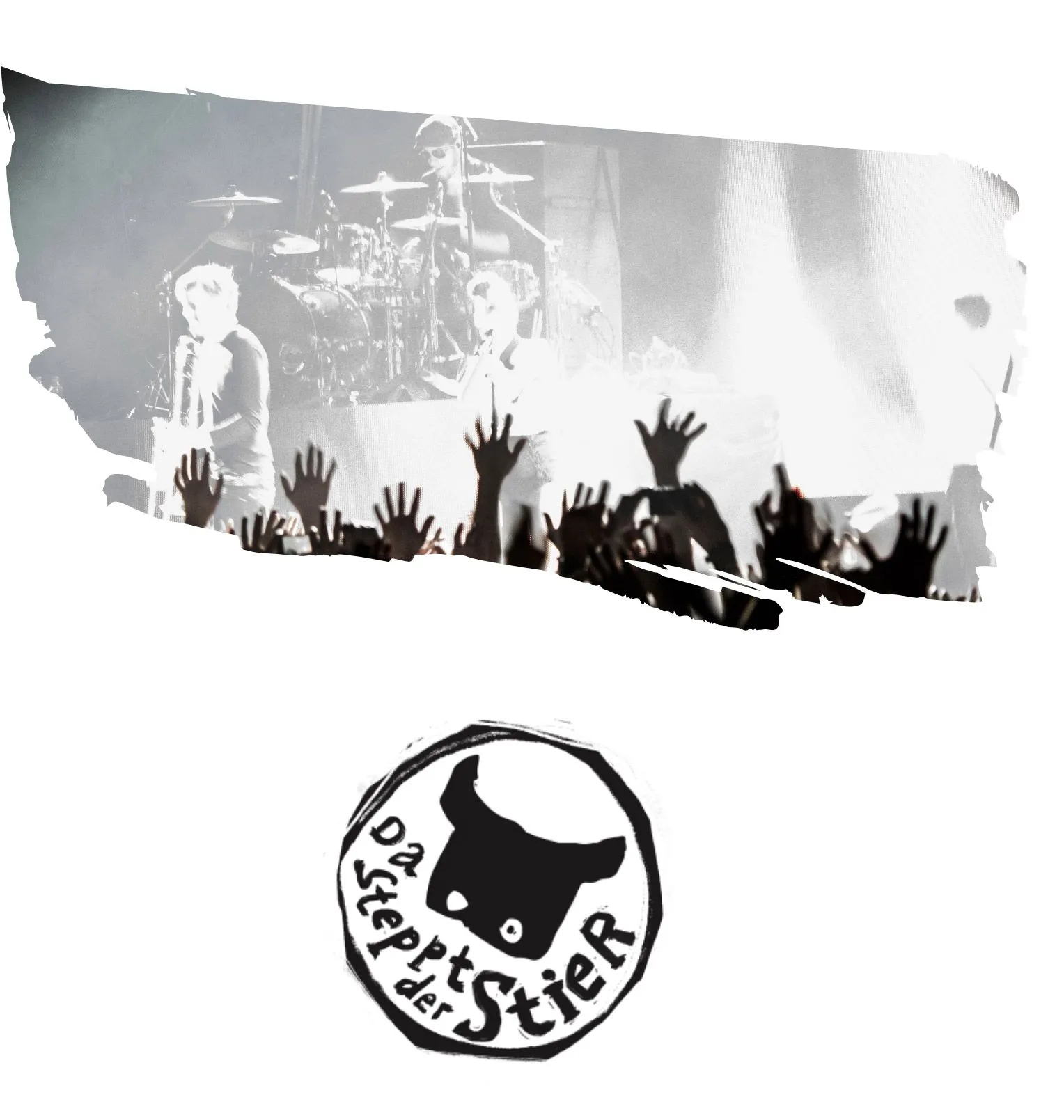 Ausschnitte aus dem Webdesign f&uuml;r das bigBOX Allg&auml;u Openair - Webentwicklung durch die Werbeagentur greiterundcie.