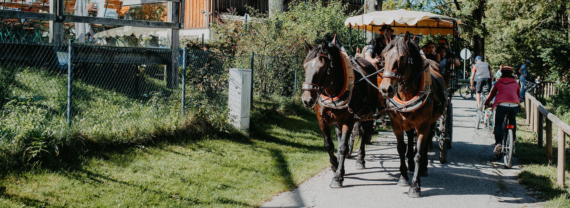 greiterundcie-marketing-kempten-referenz-Freie-Waehler-Familienfest-organisation